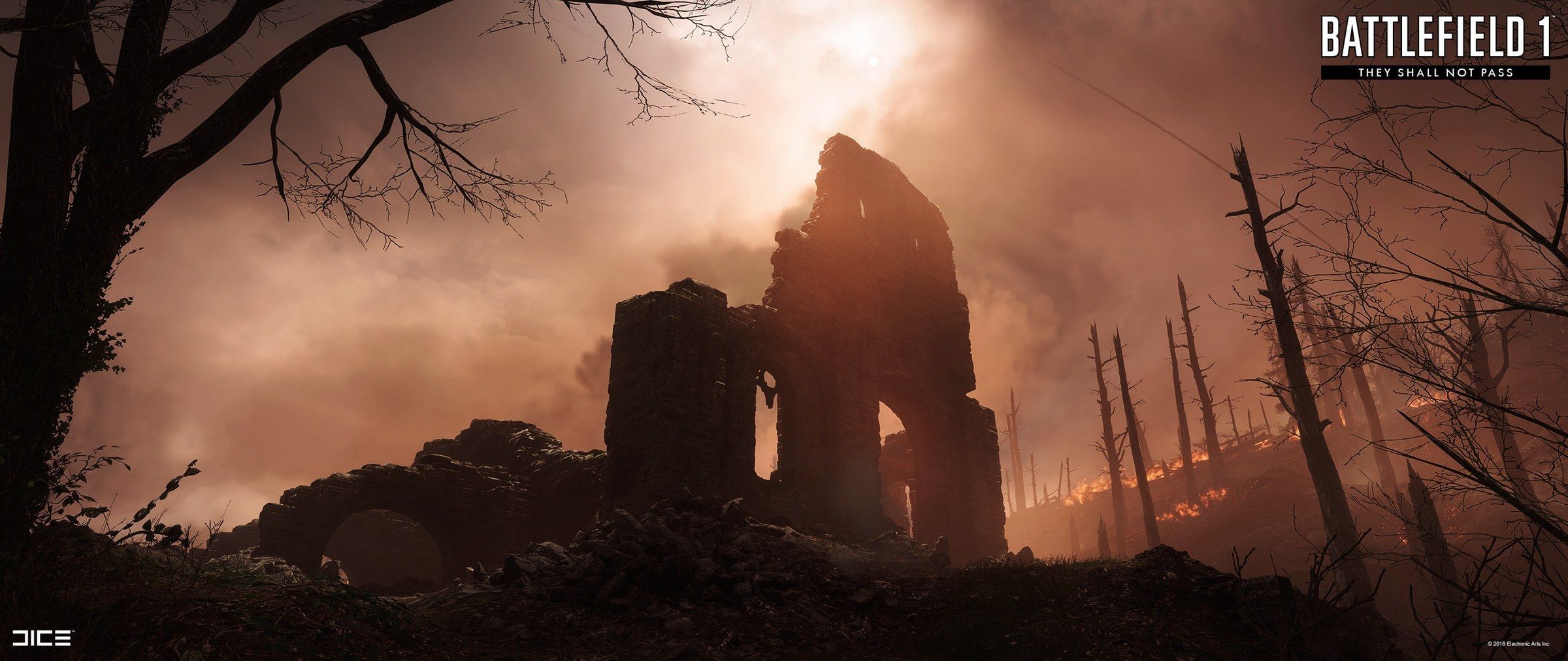 Verdun Heights in Battlefield 1