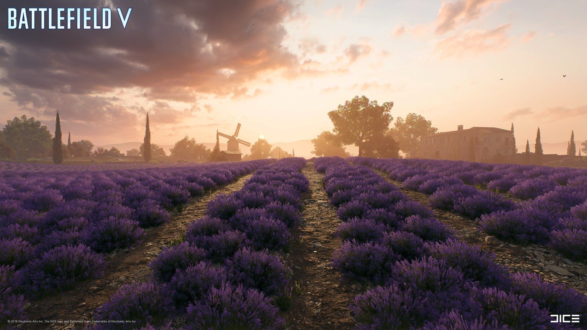 Provence in Battlefield V