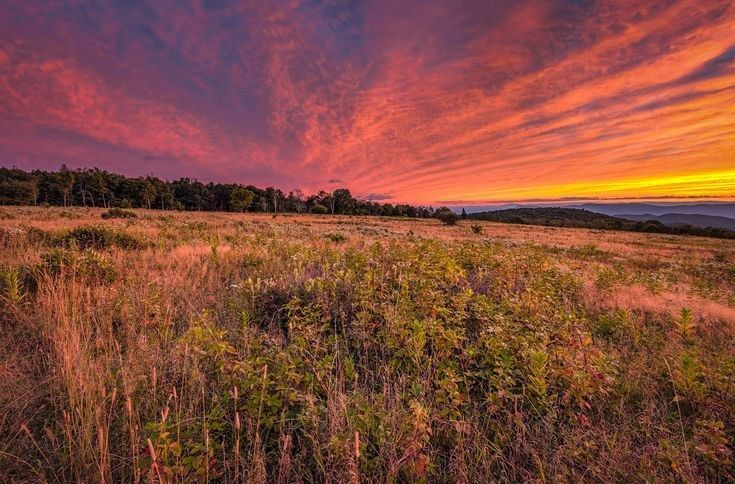 Big Meadows, Shenandoah National Park, VA