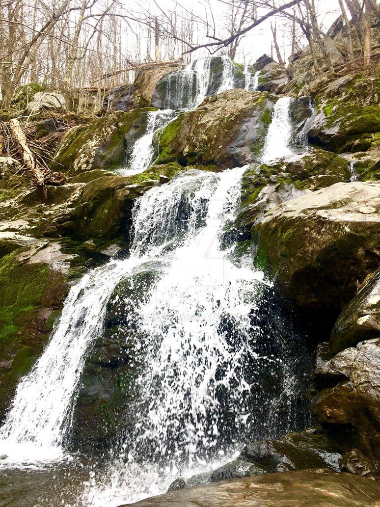 Dark Hollow Falls, Shenandoah National Park, VA