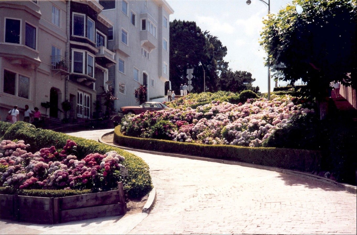 Lombard Street (crooked section), San Francisco, California